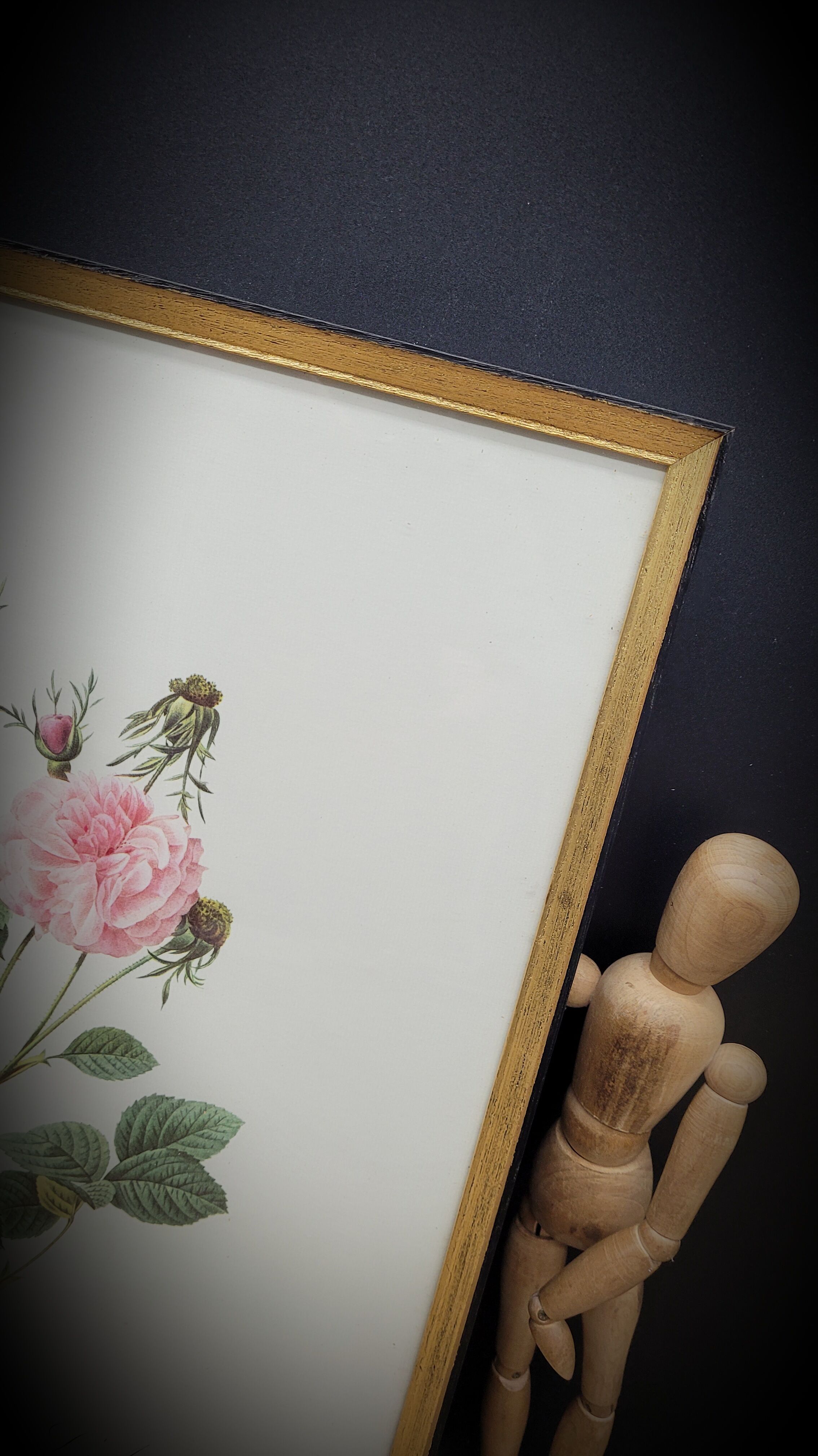 Lithograph under frame rose agathe meat