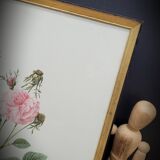 Lithograph under frame rose agathe meat