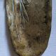 Bronze catchall handmade bohemian country decoration