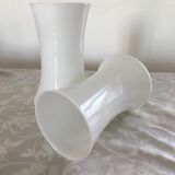 Double opaline vases