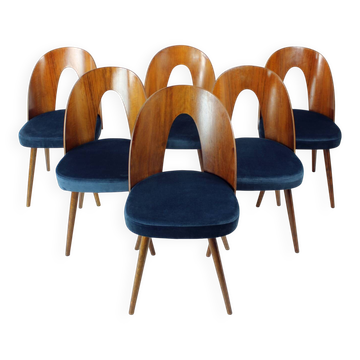 Set Of 6 Iconic Tatra Chairs In Walnut & Velvet By šuman, Nabytok Pravenec