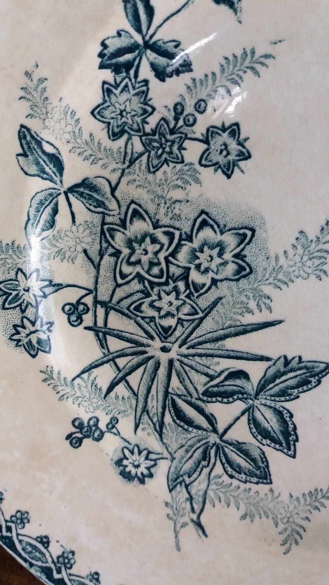 Flat plate, ironstone, Saint Amand, Margot decoration, Amandinoise company, 1920.