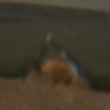 Set of 4 Formica chairs, 1960s style with metal frame.