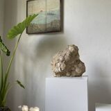 Fossil sedimentary rock and shell