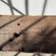 Brutalist Oak Bench – Unique Piece, 20th Century Folk Art