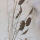 Applique murale fleurs metal doré