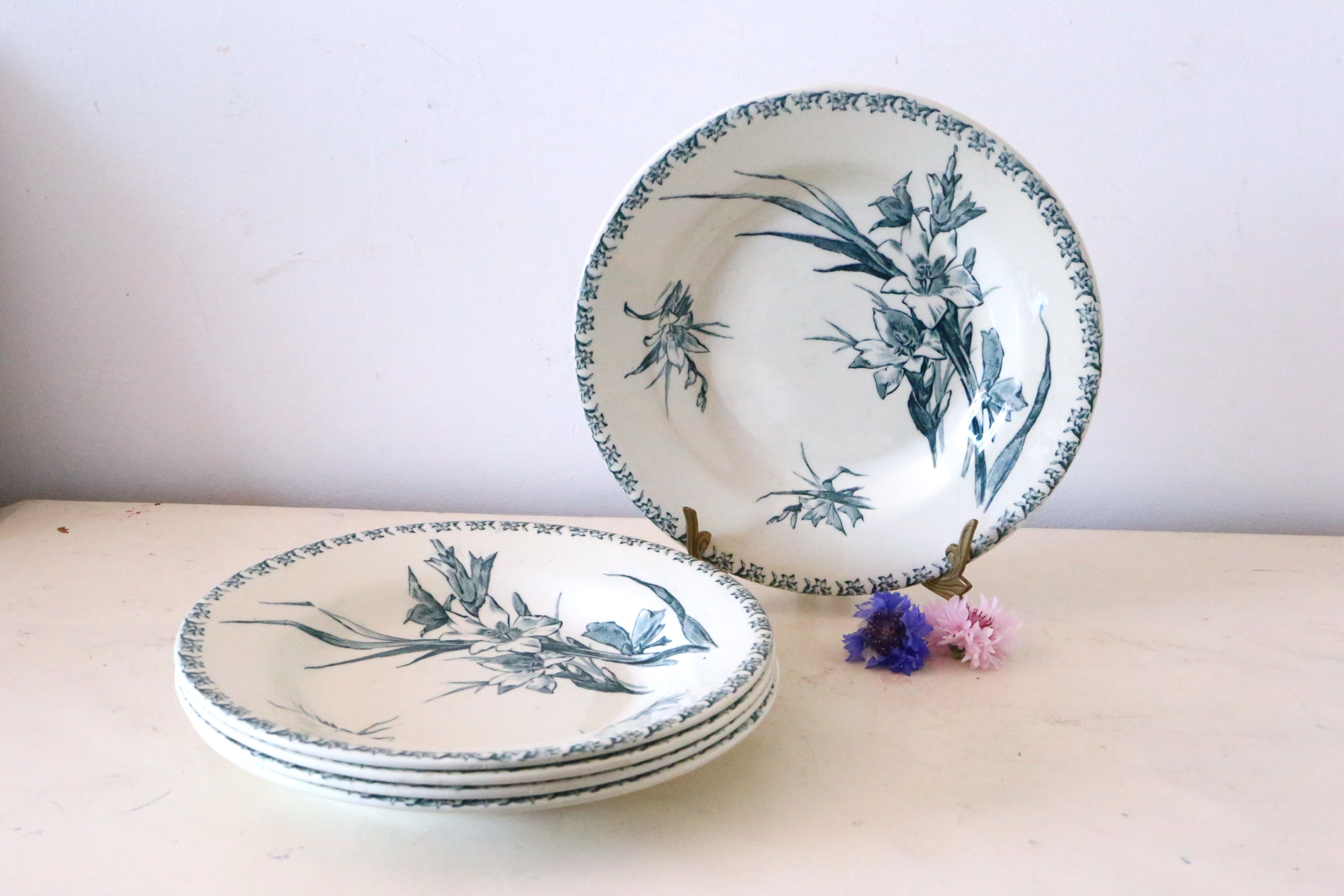 Hollow plates x5, Gien, Glaieul pattern, iron earth