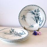 Hollow plates x5, Gien, Glaieul pattern, iron earth