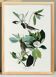 Poster about the red-eyed Vireo, based on an old engraving from 1827.