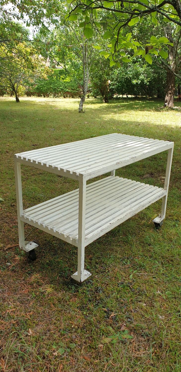 Butcher's trolley, professional furniture