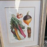 Framed botanical plank, vegetables