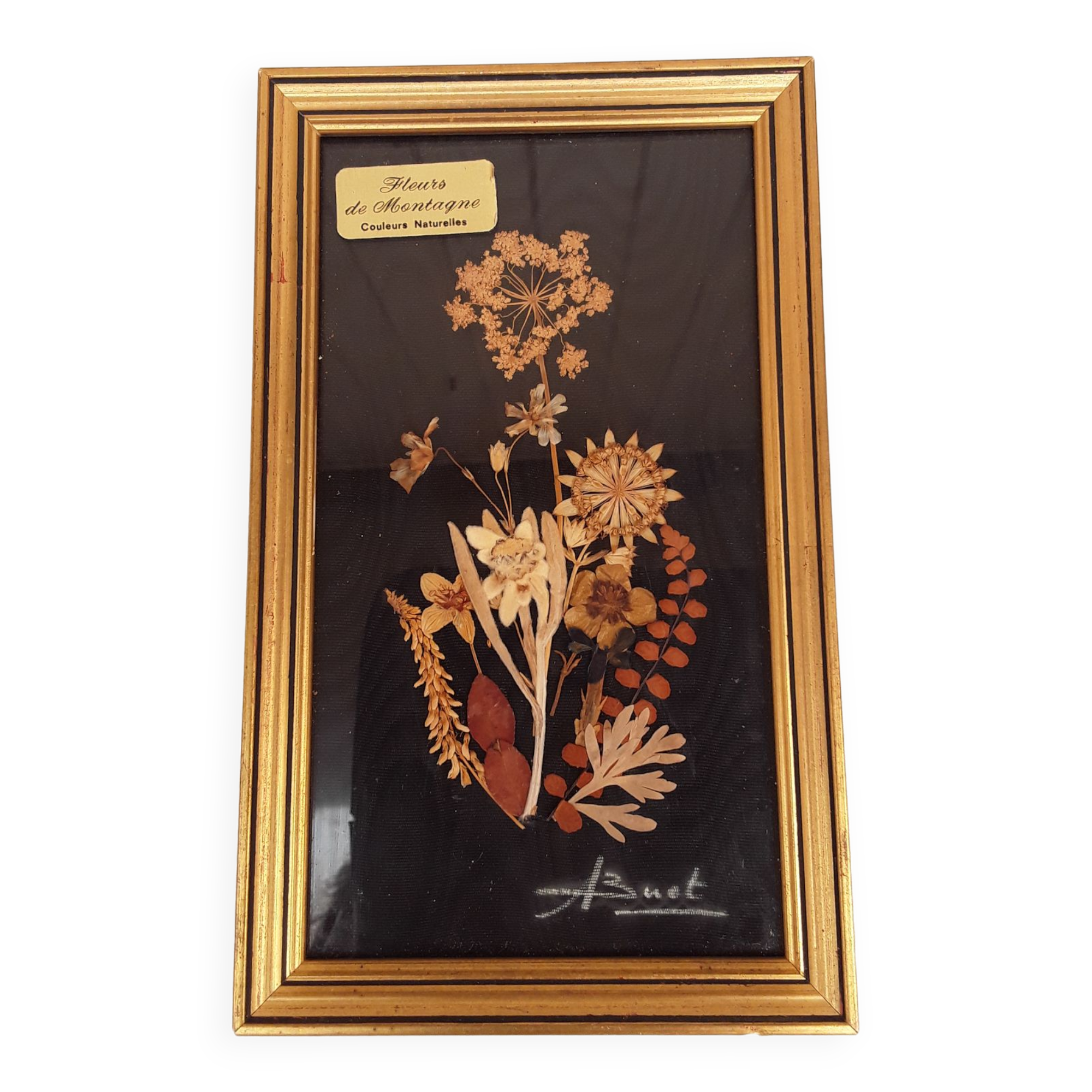 Painting dried flowers signed