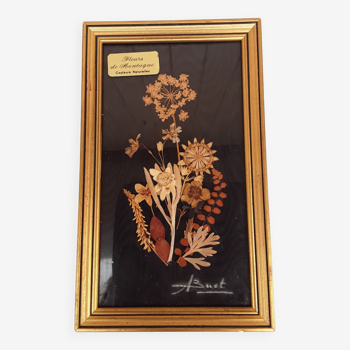 Painting dried flowers signed