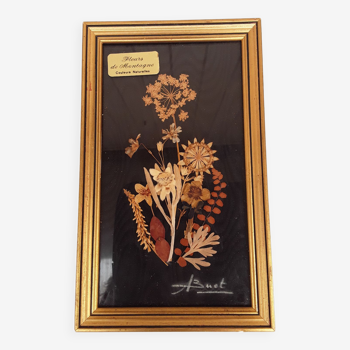 Tableau fleurs séchées signé