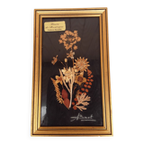 Tableau fleurs séchées signé