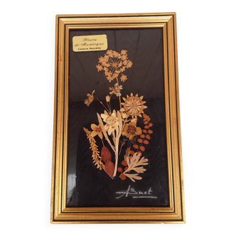 Tableau fleurs séchées signé