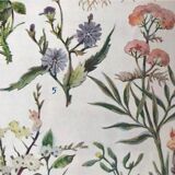 Original plate n1 of flowers from 1938