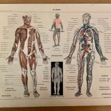 Lot of 3 20th century lithos