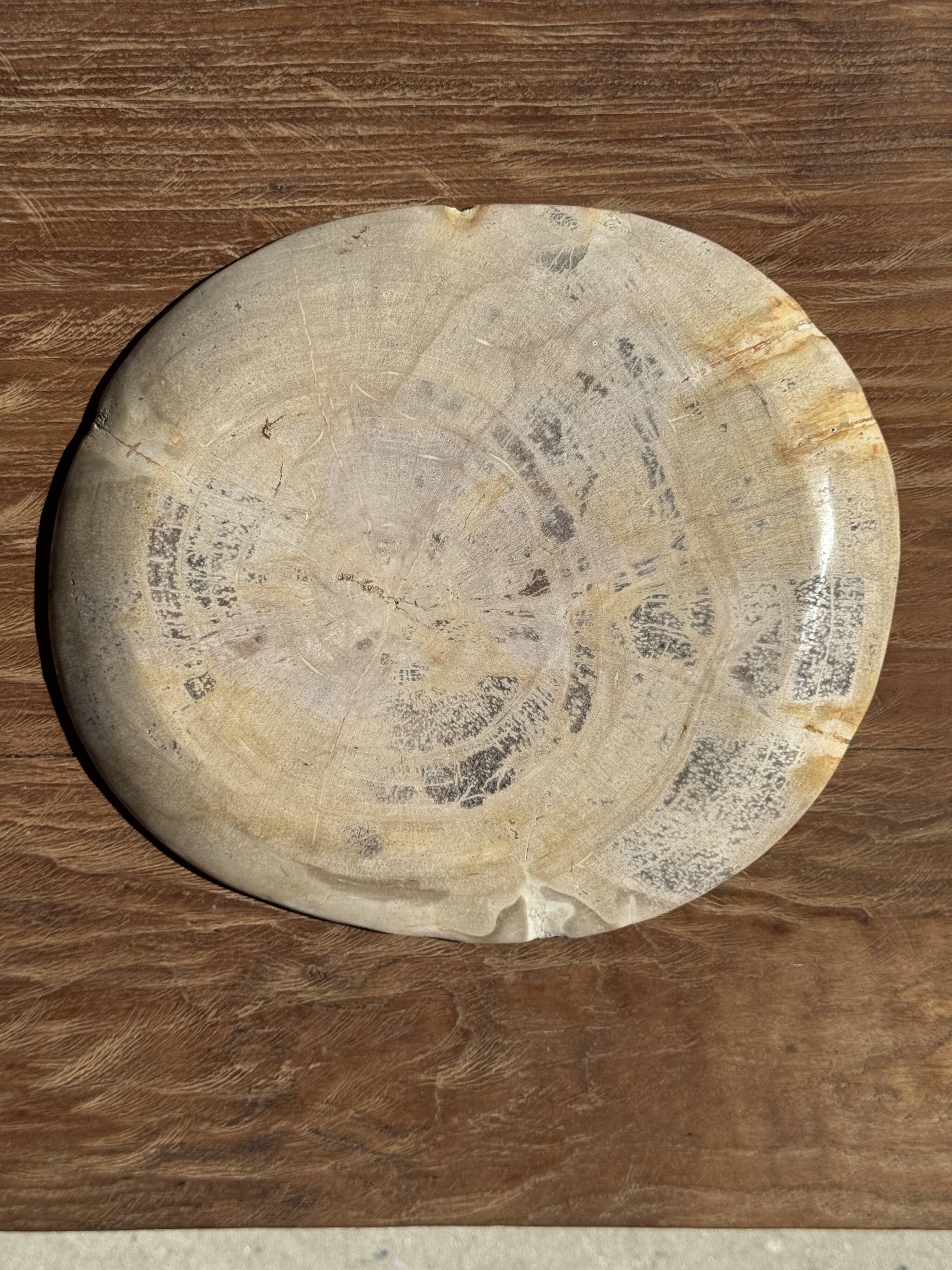 Oval petrified wood dish or bowl with grey edges D28x24 -3779