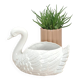 vintage porcelain flower pot in the shape of a swan