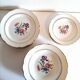 Gien Florence earthenware plate service / flowery crockery