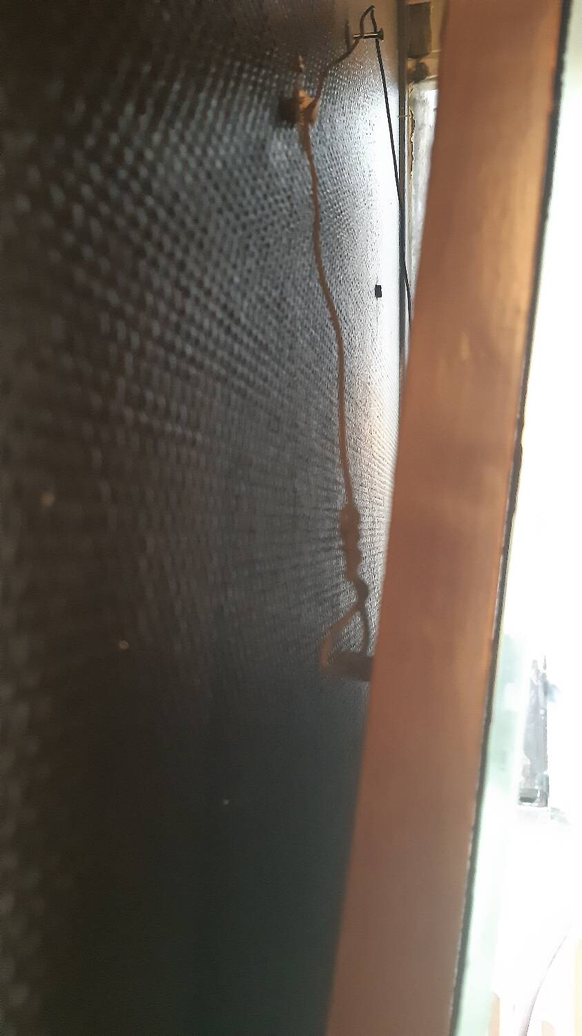 Venetian Italian mirror