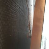 Venetian Italian mirror