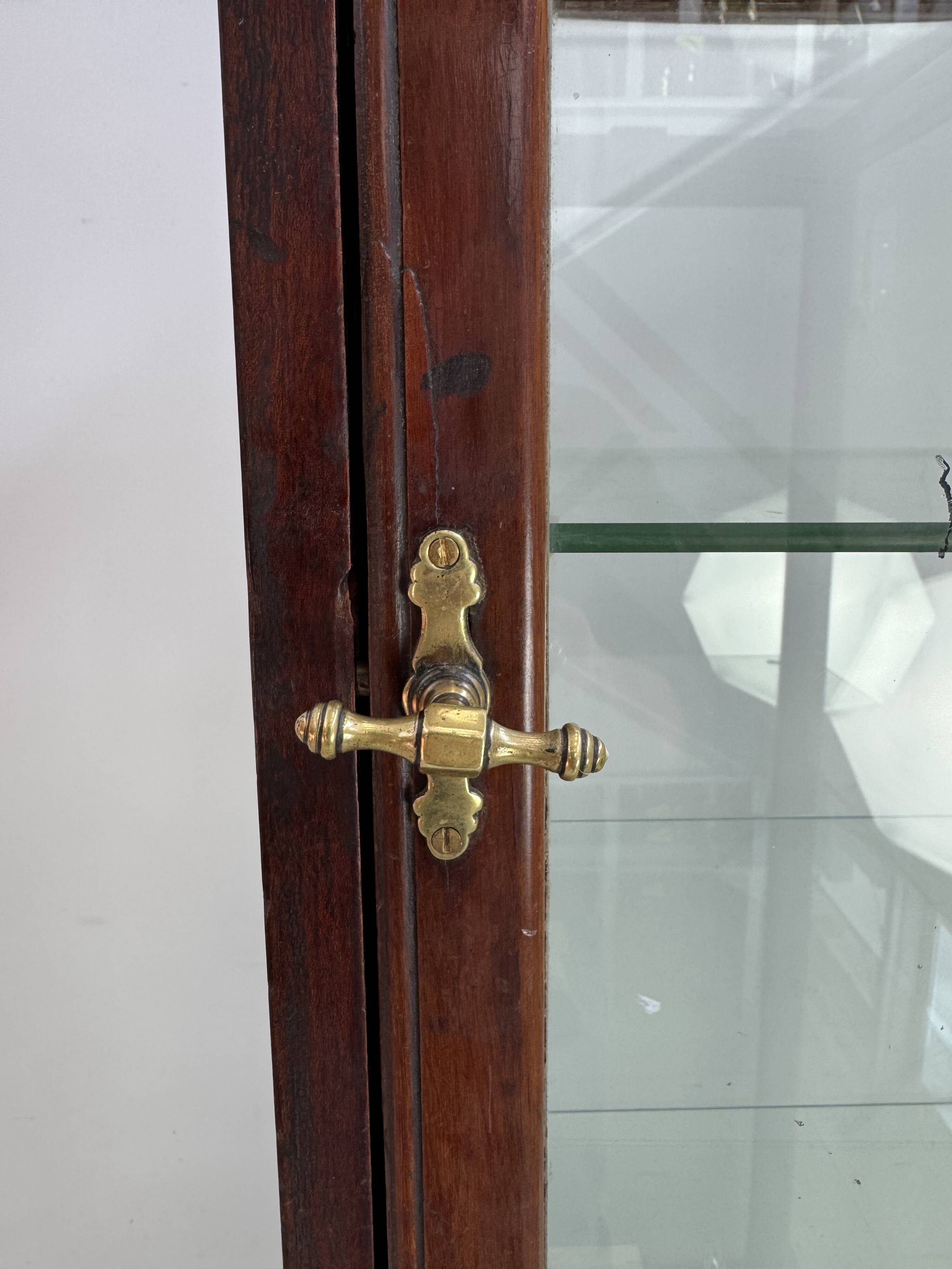 Beautiful mahogany museum display cabinet from England, circa 1925.