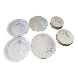 Lots 16 assiettes et un saladier en porcelaine