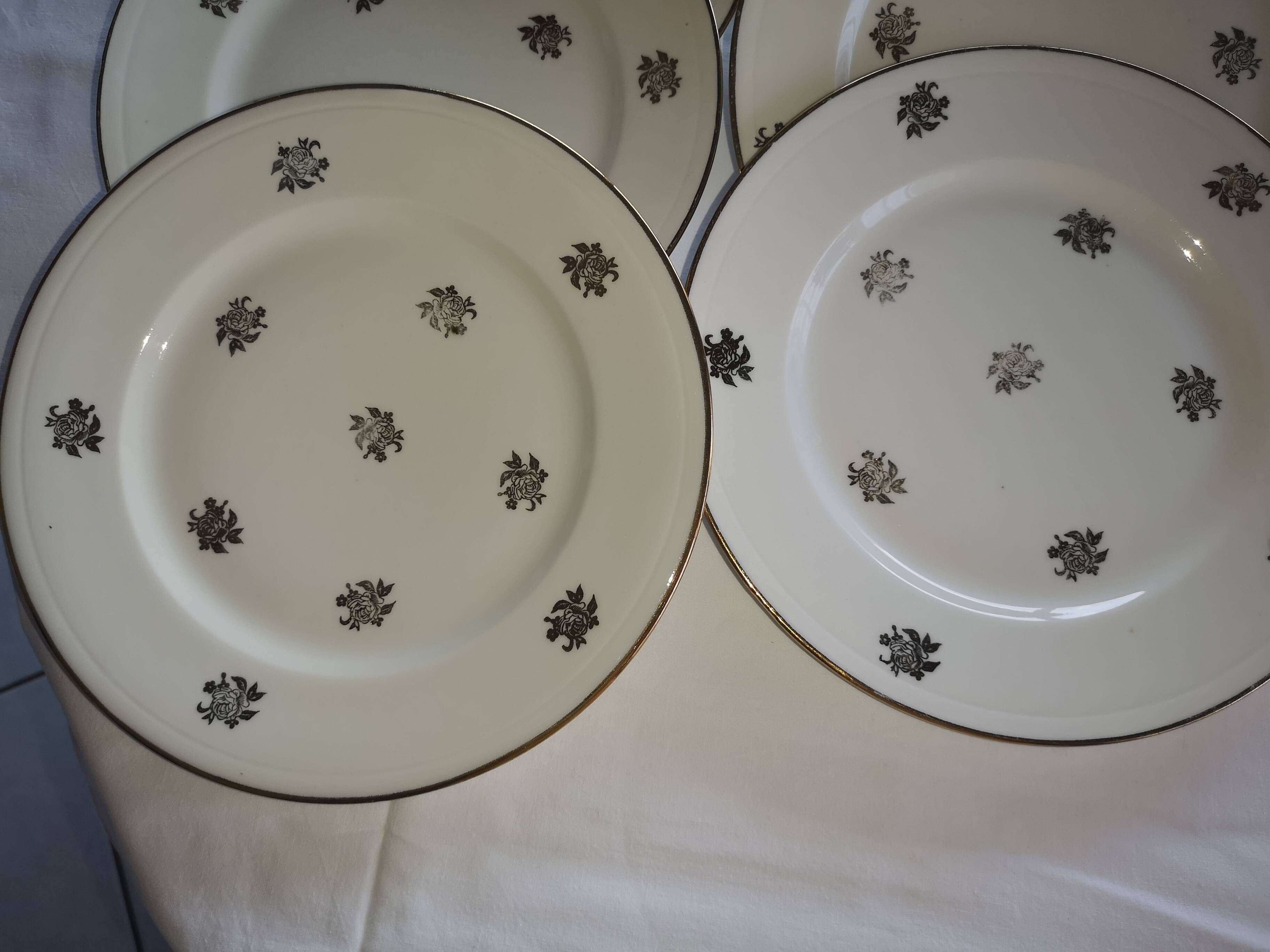 Service ancien – 12 assiettes plates en porcelaine française – décor floral