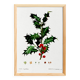 Poster about holly, after an engraving from 1802