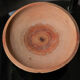 600-500 bc j-c plate from ancient Greece