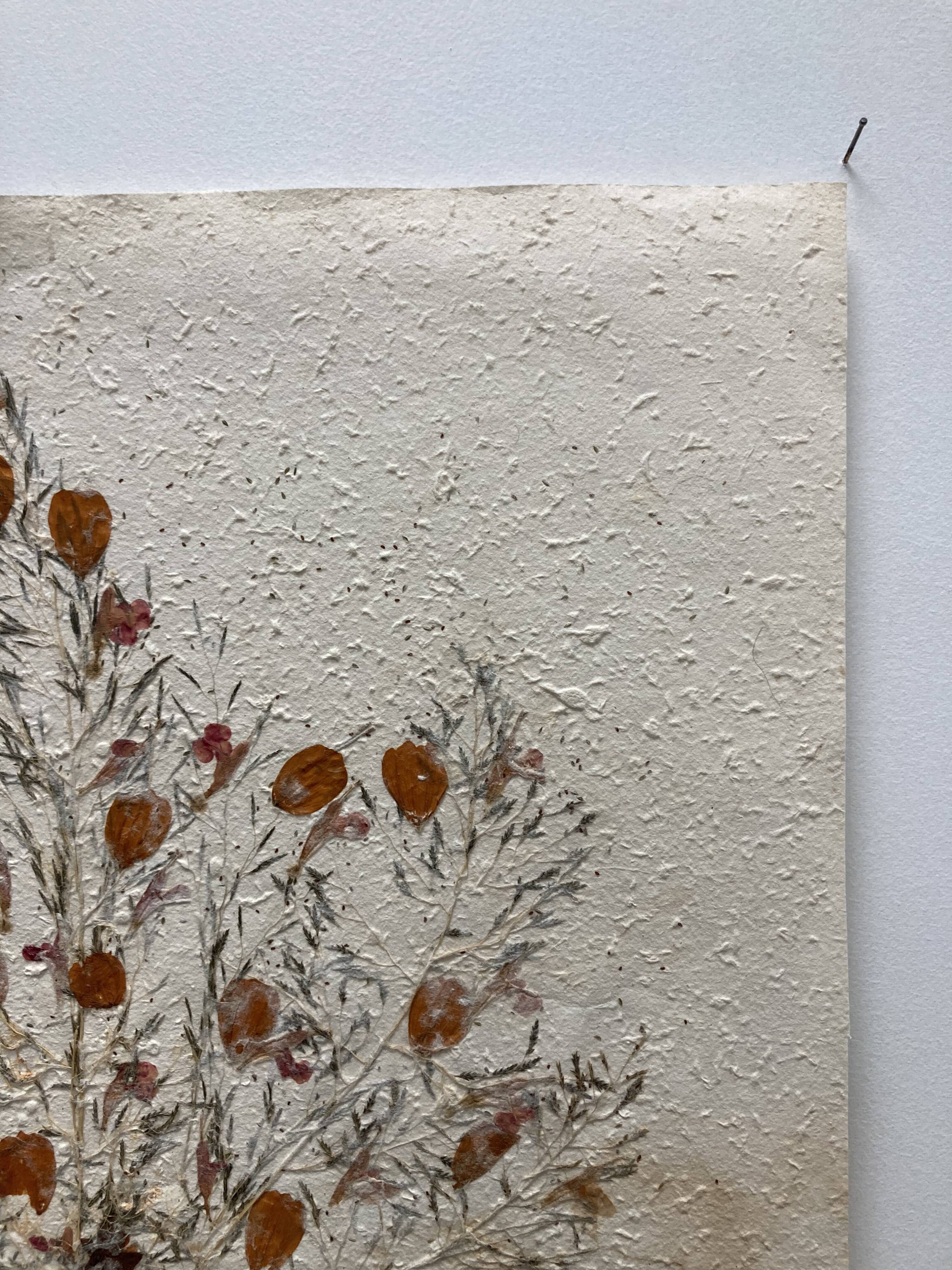Vintage dried flower board