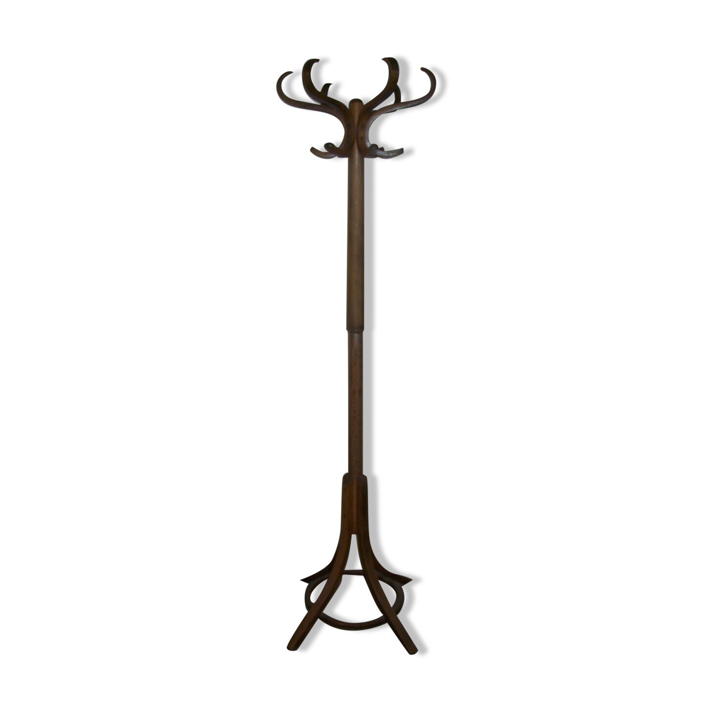 Parrot coat rack