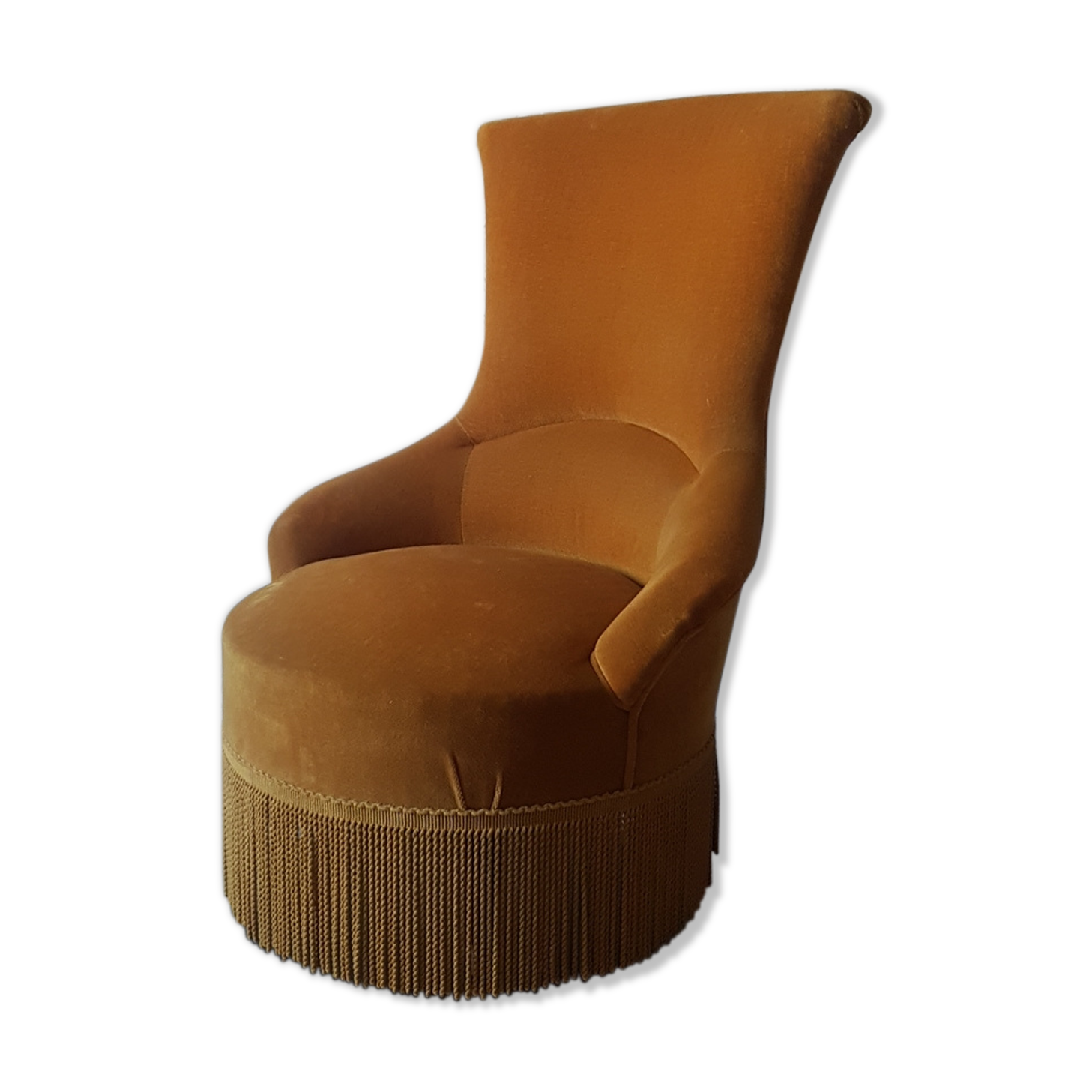 Golden fringed toad chair