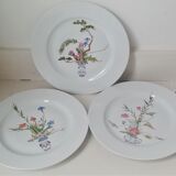 Lot of Limoges plates
