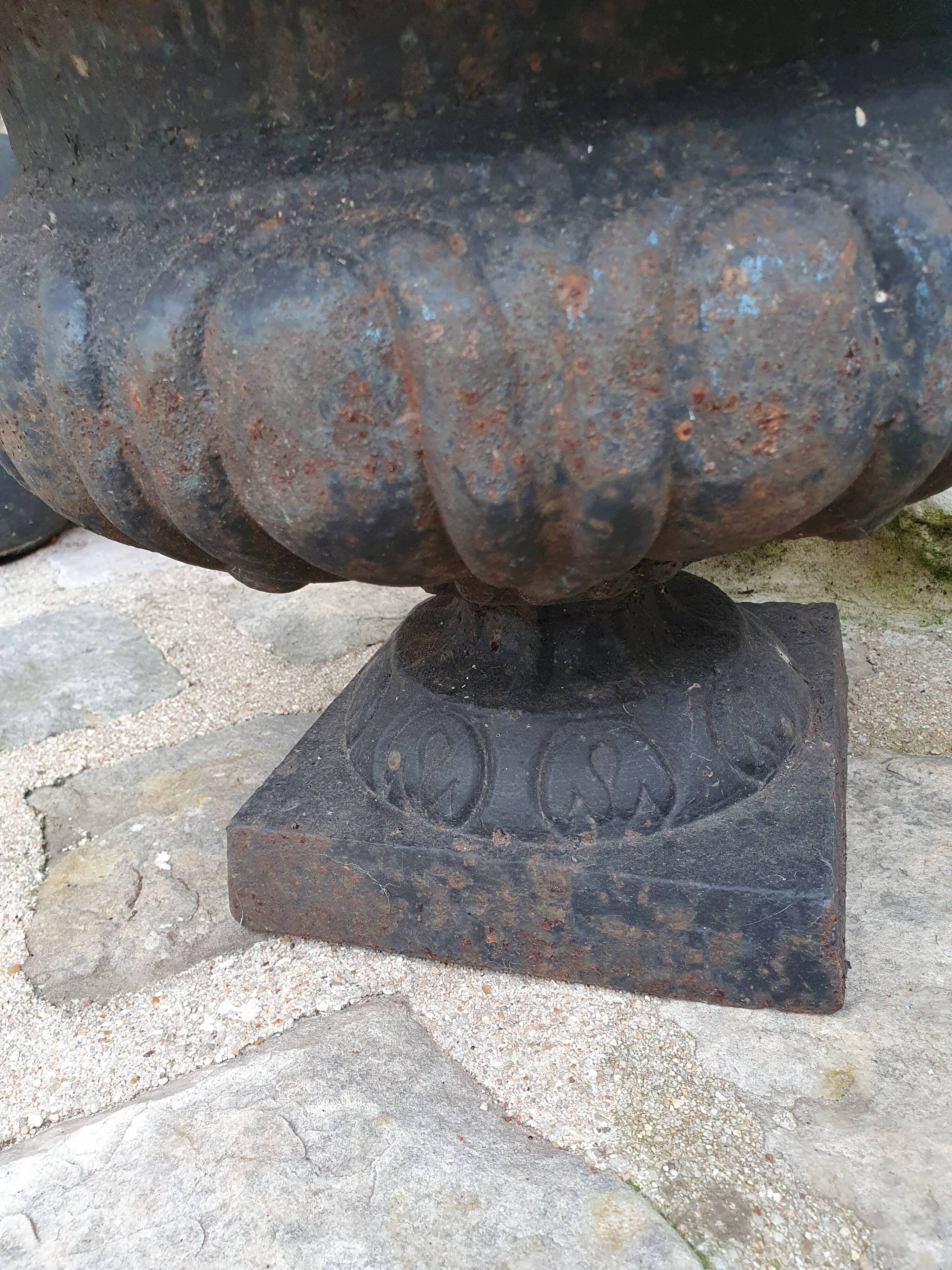 Pair of cast iron medicis