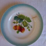 8 plates dabbling 2 decorations, currants, raspberries