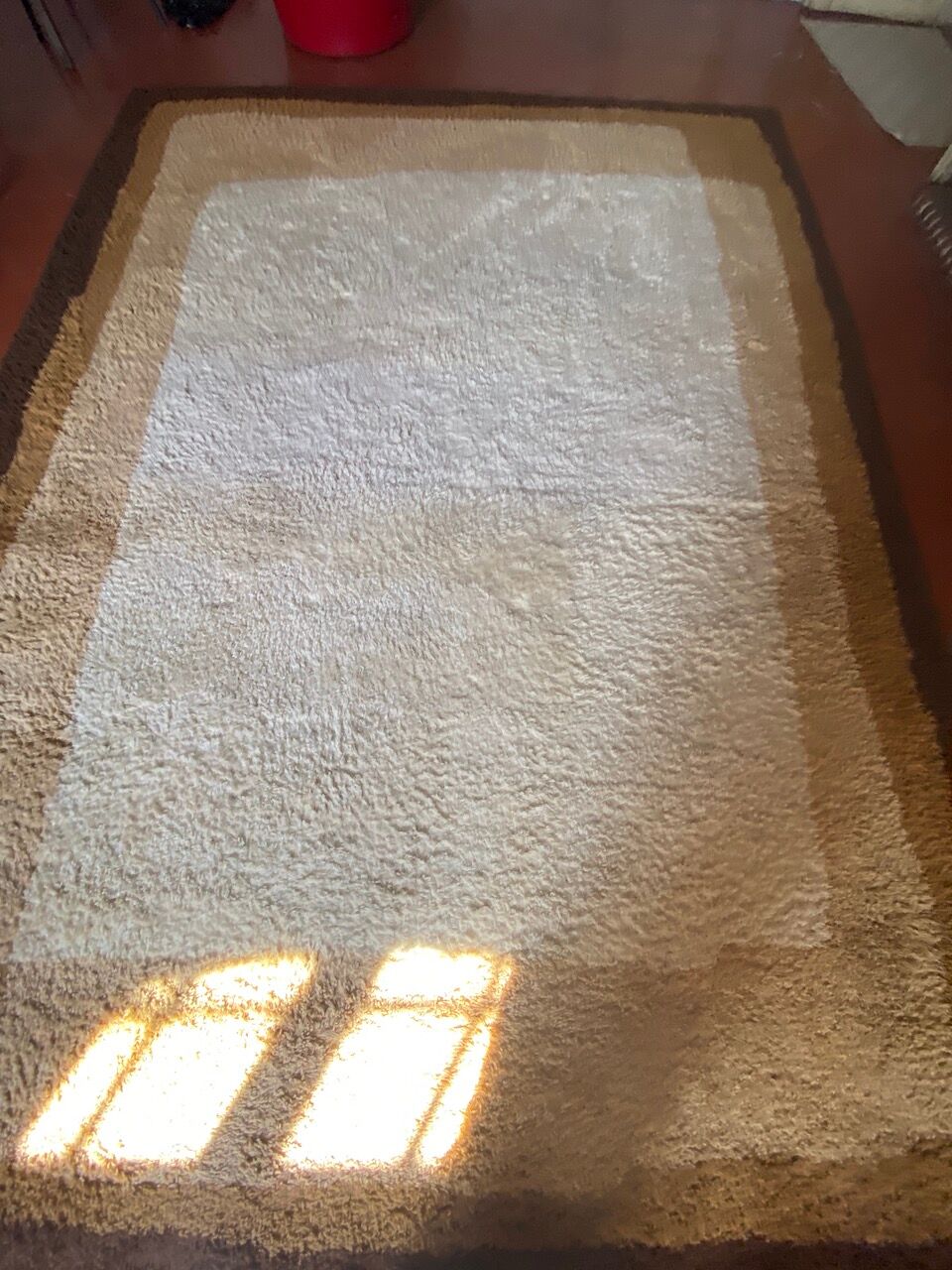 Pure wool carpet 250x350cm