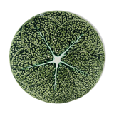 POP UP SEPT 2022 - wall plate slurry cabbage