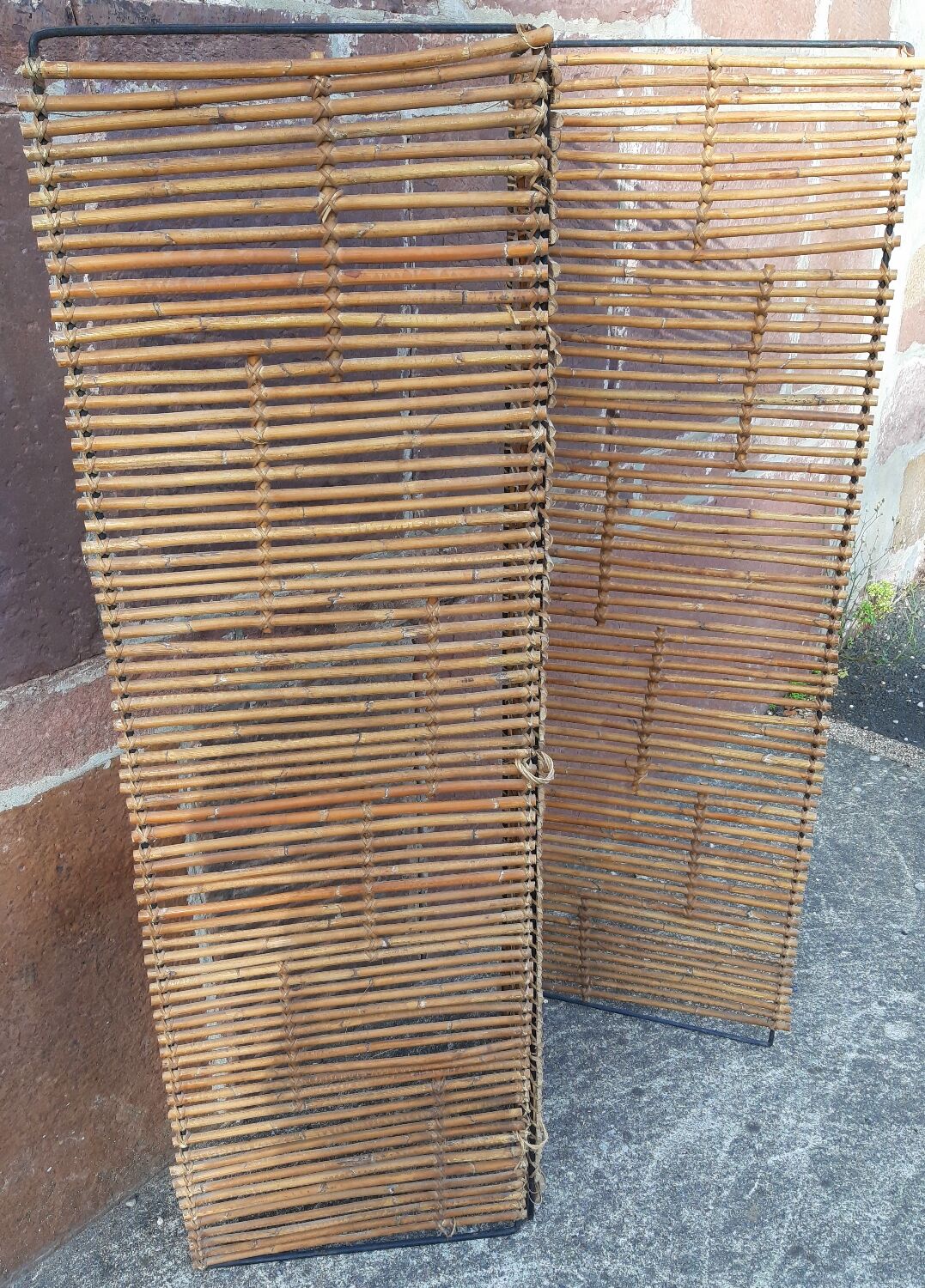 Bamboo screen year 60