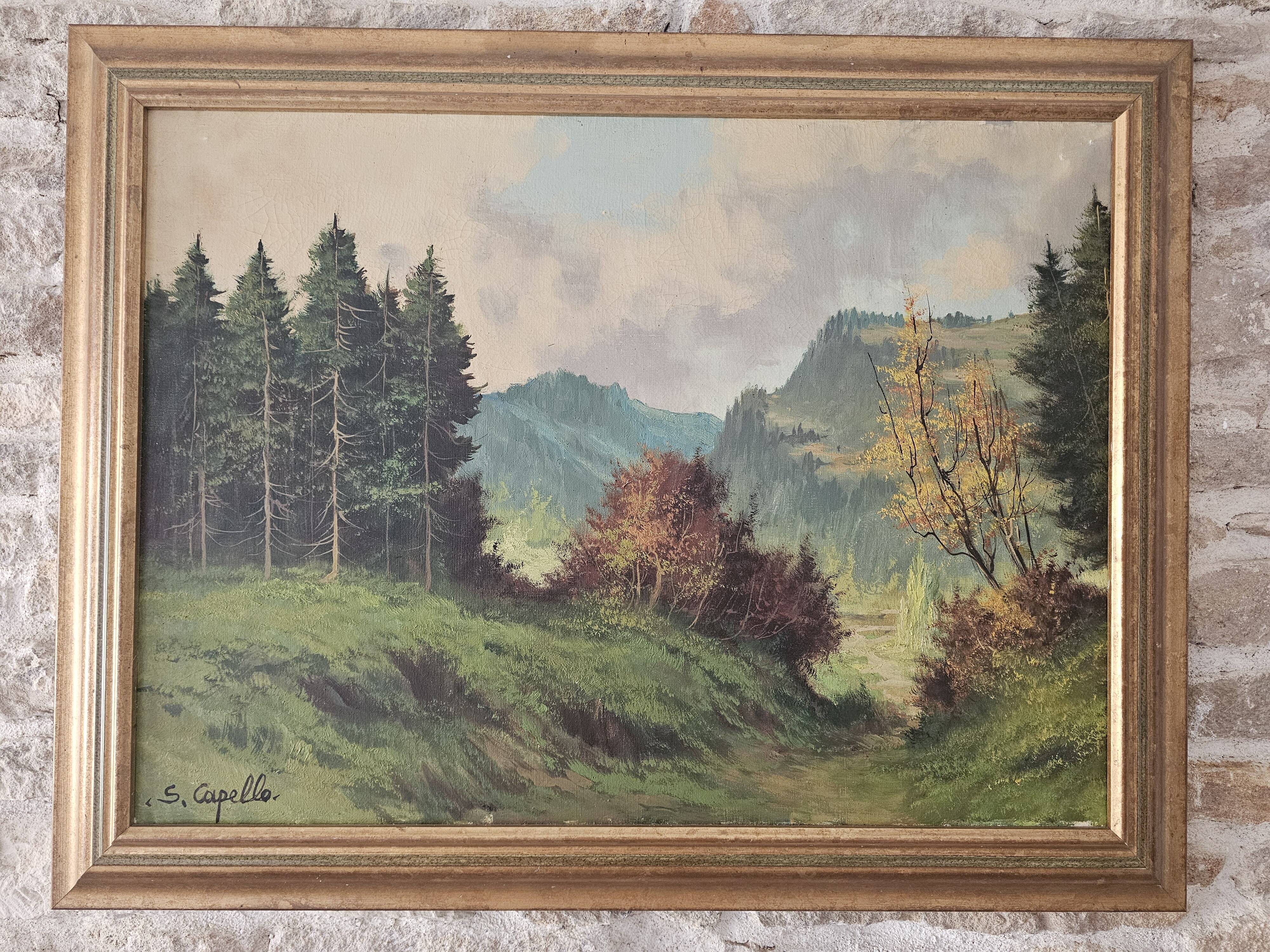 Oil Painting on Canvas Mountain Landscape Forest Vosges Signed S Capello