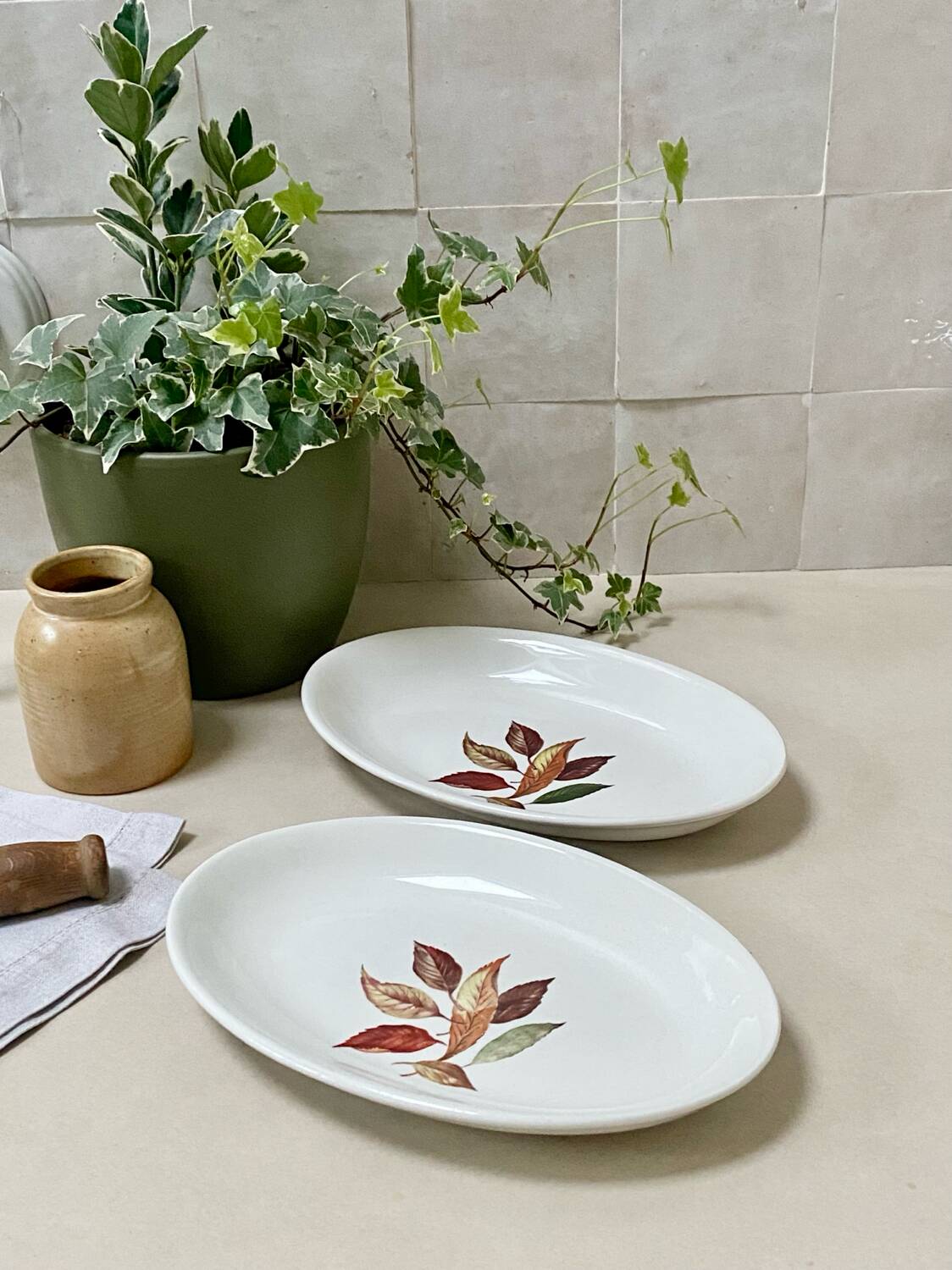 Pair of serving dishes