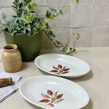 Pair of serving dishes