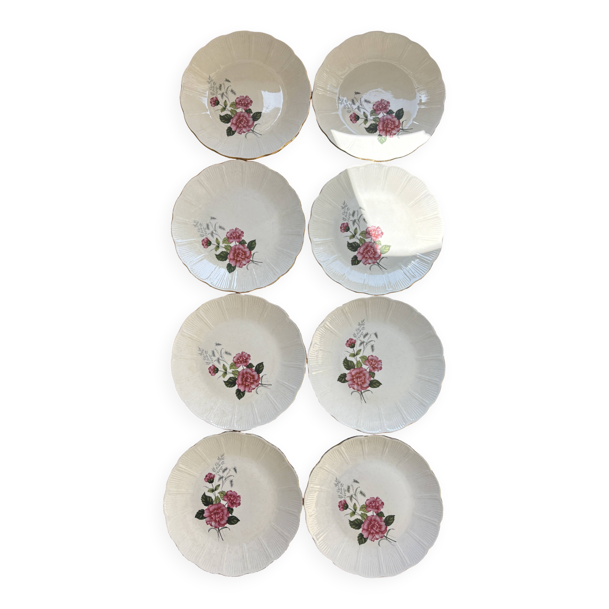 8 Amandinoise dinner plates