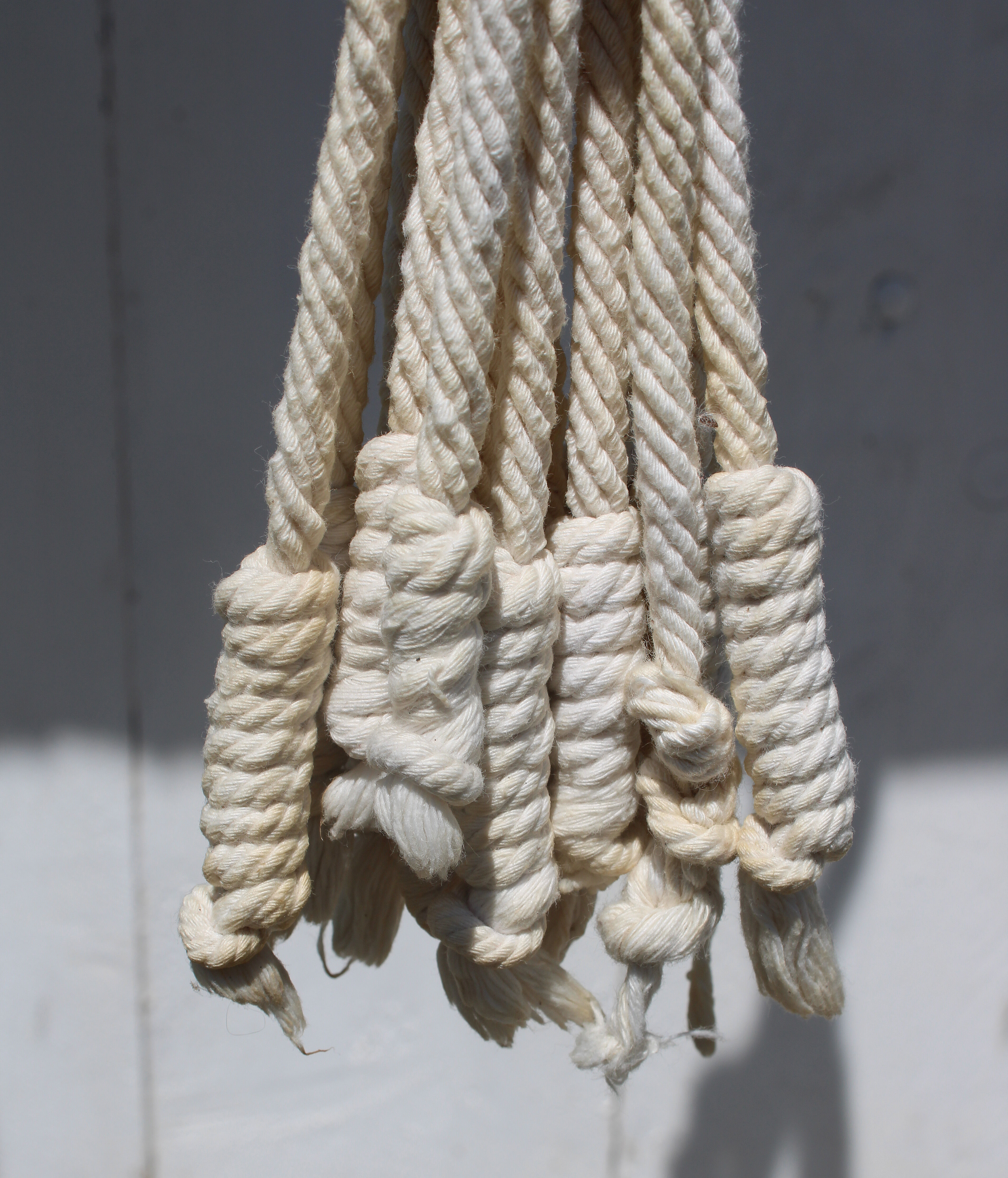 Hanging plant holders in macramé and rattan