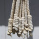 Hanging plant holders in macramé and rattan