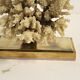 Brass coral table lamp, 1970s