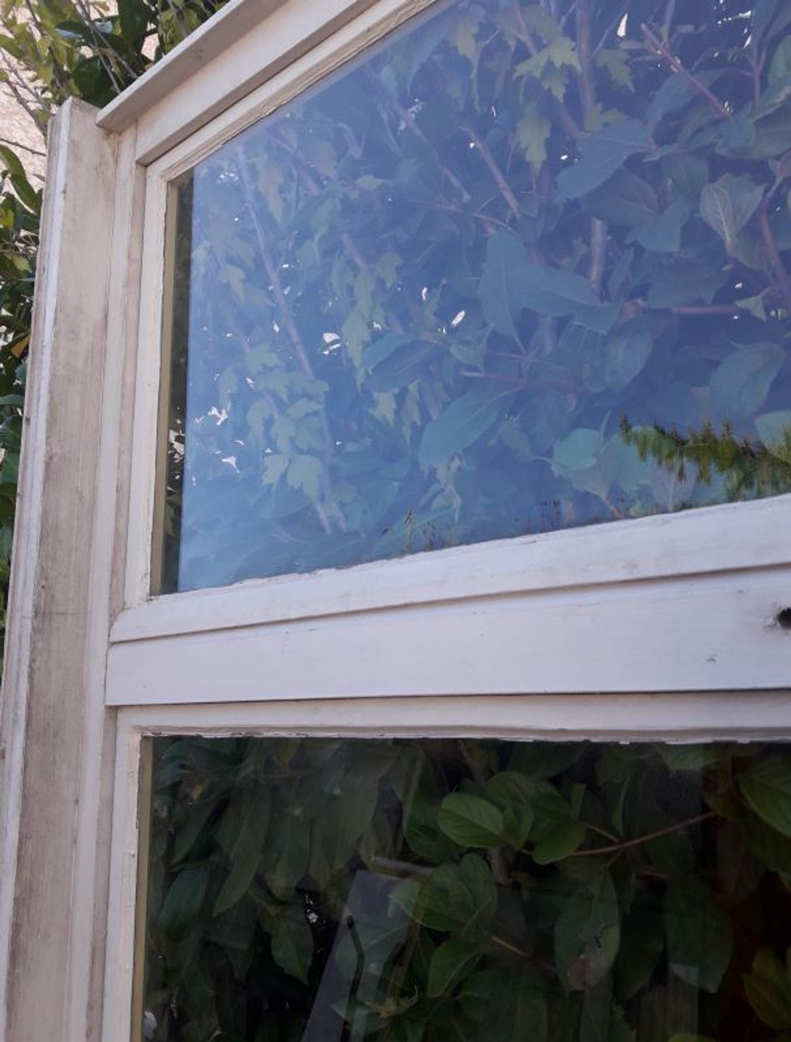 Verrière bois 3 fenêtres à soufflet et abbatant