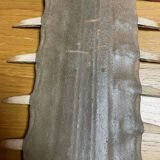 Old sawfish rostrum